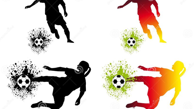 组织架构优化与流程梳理：两者有何区别？**